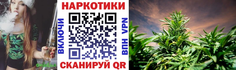 Что такое Новосиль Канабис  Мефедрон  Alpha PVP  ГАШИШ  МЕТАМФЕТАМИН  COCAIN 