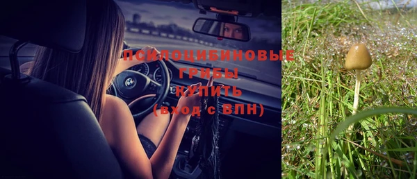 МДПВ Алексин