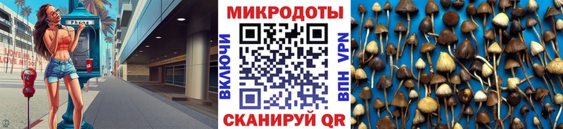 Галлюциногенные грибы GOLDEN TEACHER  как найти наркотики  Новосиль 